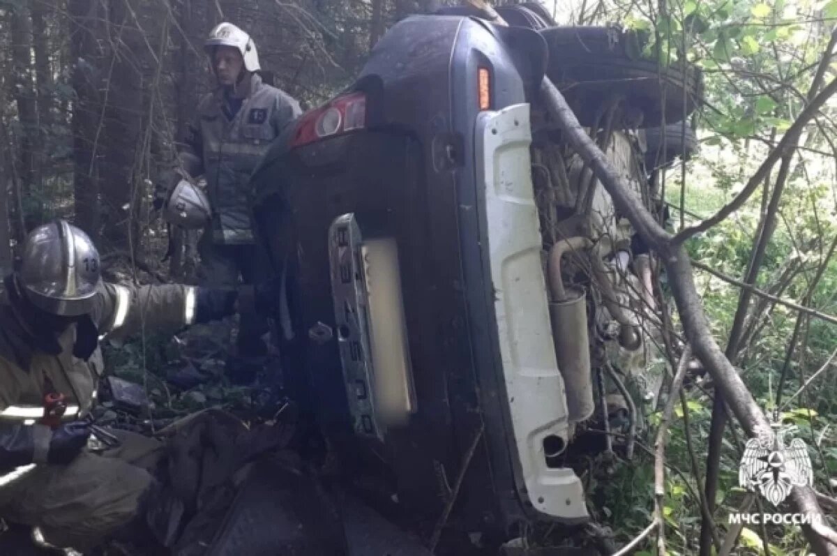    В Тверской области в аварии на встречке пострадали водитель и пассажирка