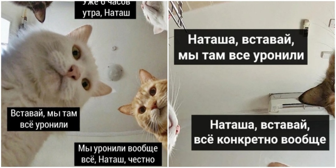 Почему издеваются над именем Наташа