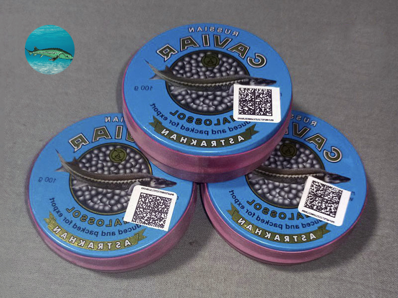 Пример честного знака в виде Qr на банке 