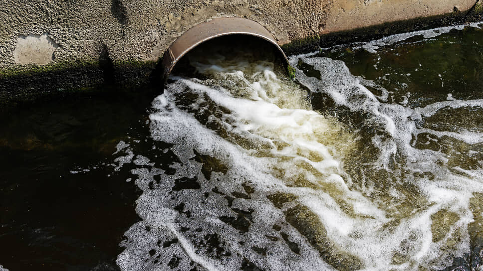 Фото: Олег Харсеев / Коммерсантъ