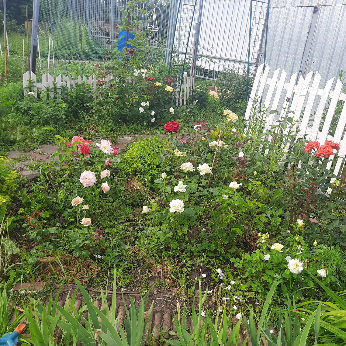 Вид от мельницы