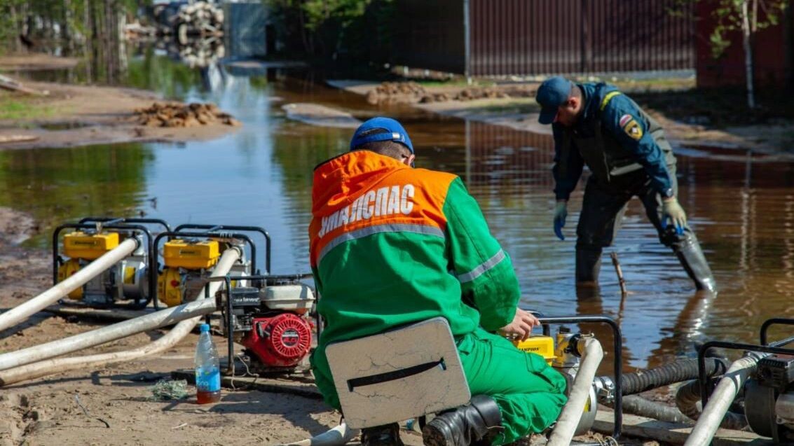    Фото: t.me/dgzipb/2669?single