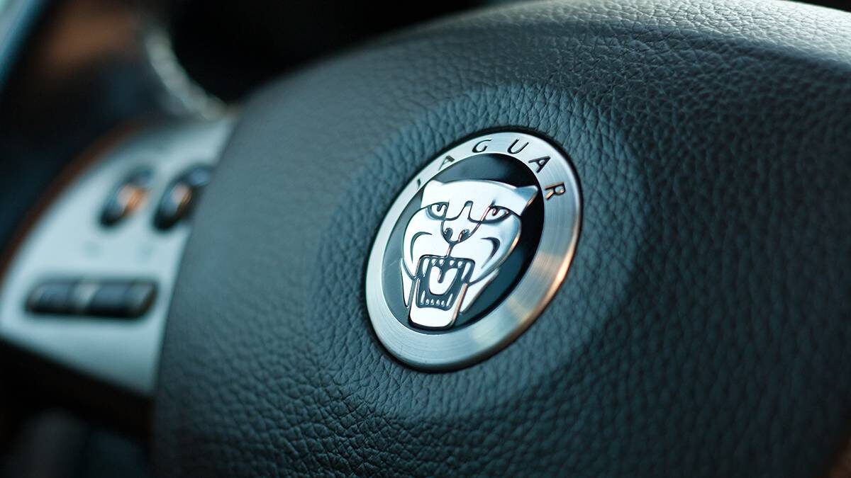    Фото: Shutterstock