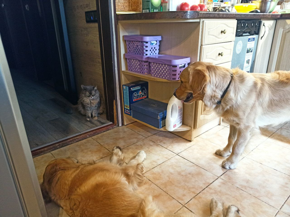 Маняха, Ляля и Люся