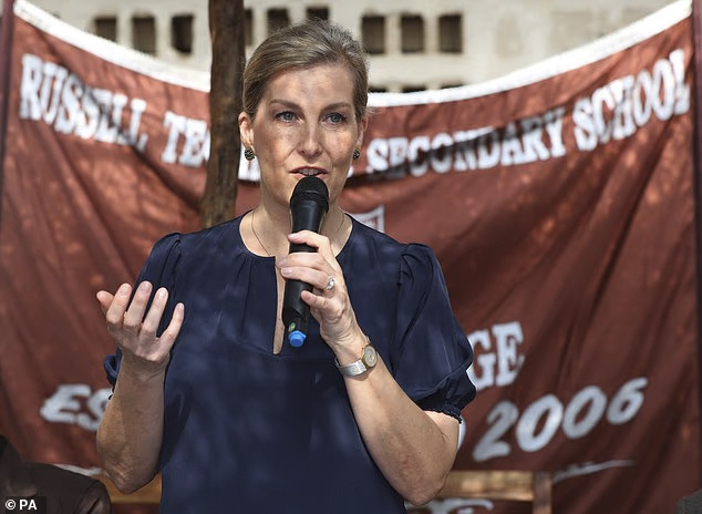 Софи прокладывает более обычный и нормальный путь для королевской семьи