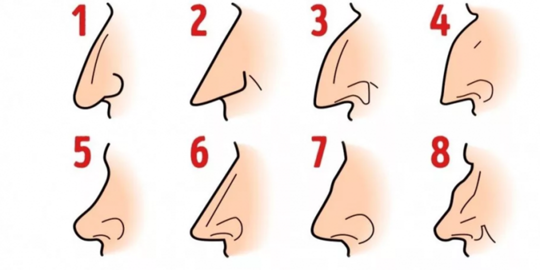 Что форма вашего носа говорит о вас: тест, который удивительно точно угадывает черты характера