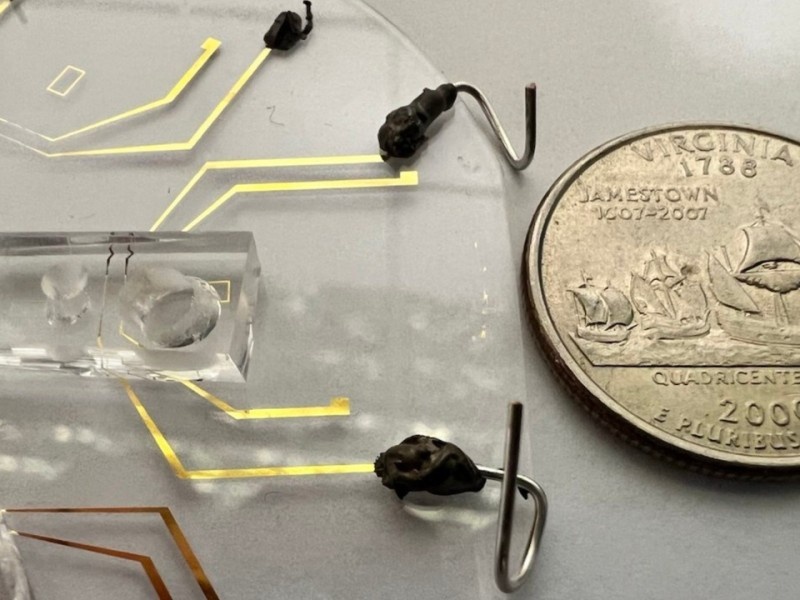    Инженеры создали портативный детектор генетических мутаций