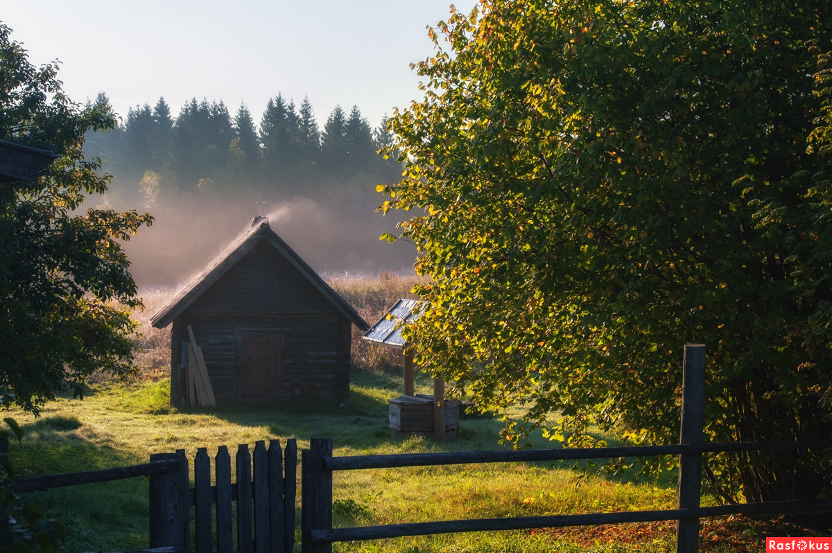 фото из интернета