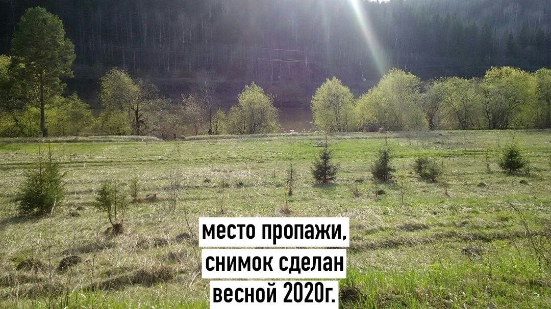 Фото из общего доступа в интернете