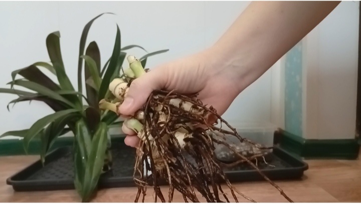 Фото сделано во второй половине февраля 2025 г.