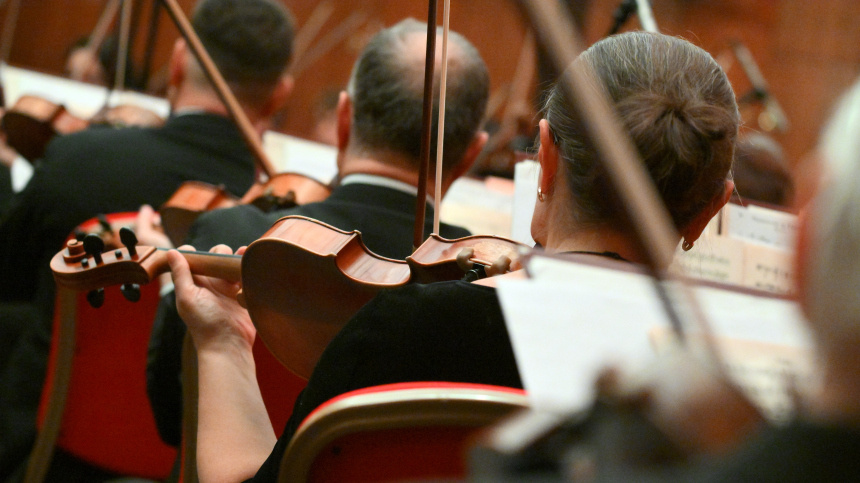    Фото: © РИА Новости/Пелагия Тихонова