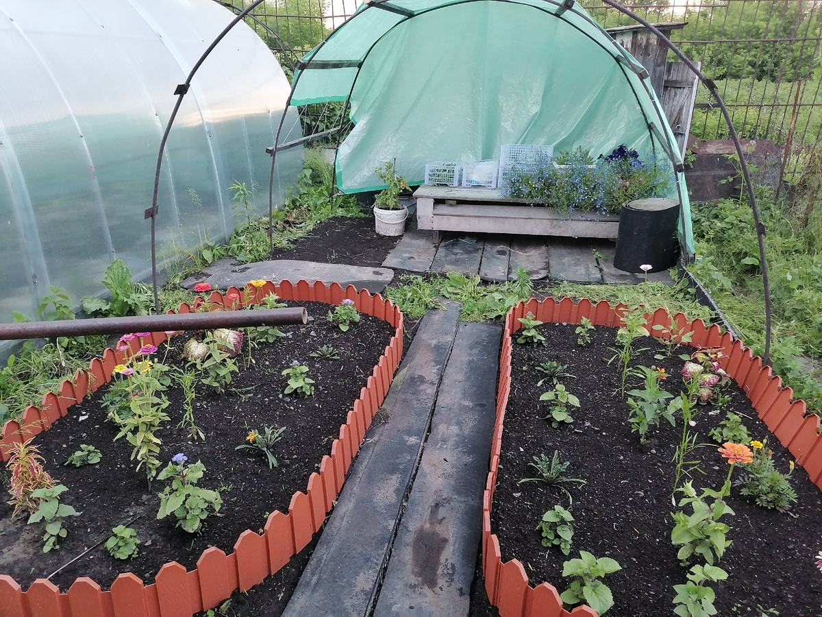 После грозы