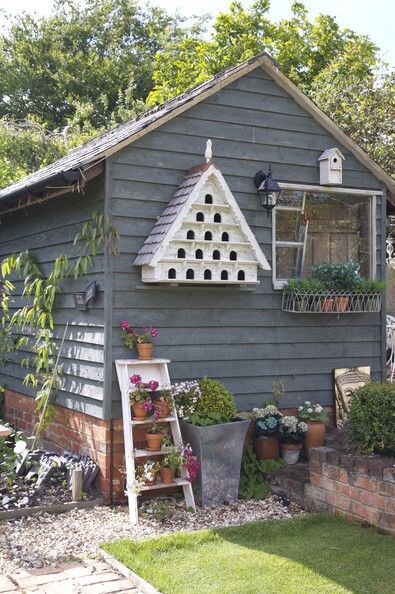 Фото взято из открытого источника