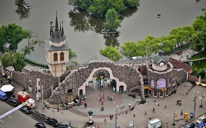 Фото с https://ru.pinterest.com/pin/11441964677180932