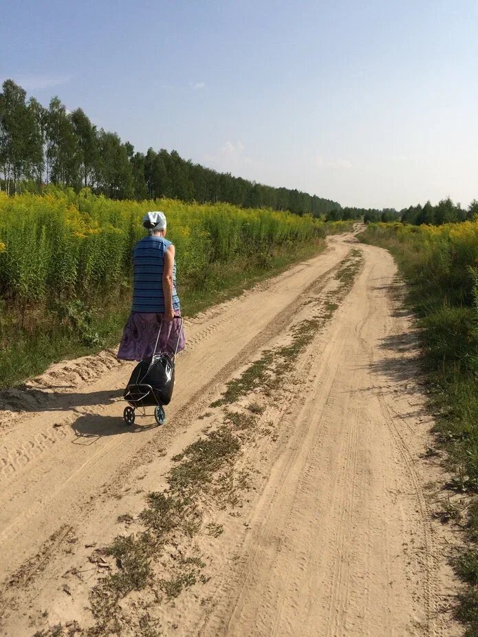 Дорога в деревню.