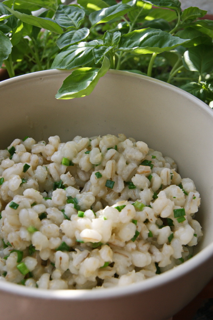 Фото автора. Перловка с зеленью чеснока.