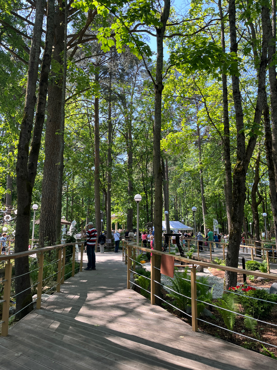 Ландшафтный конкурс в Зеленогорске 2025