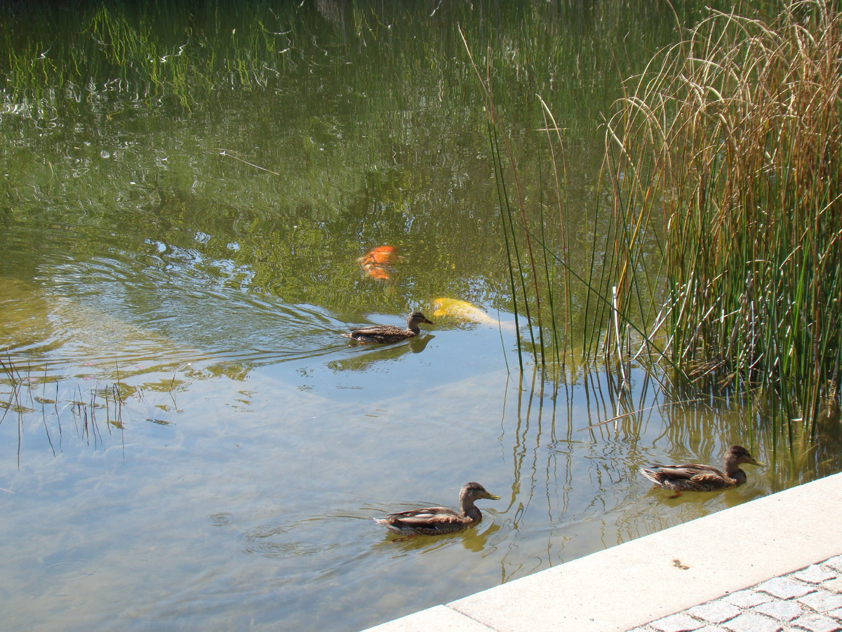  Дорогие читатели, если вам понравится мой рассказ, подпишитесь пожалуйста на мой канал и поставьте лайк. Заранее Вам очень благодарна.