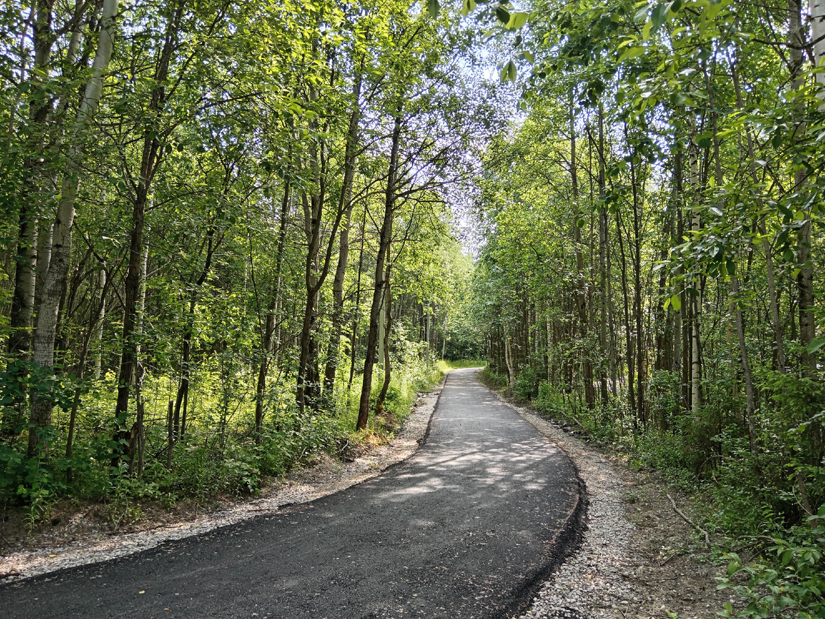 Лыжероллерная трасса. 