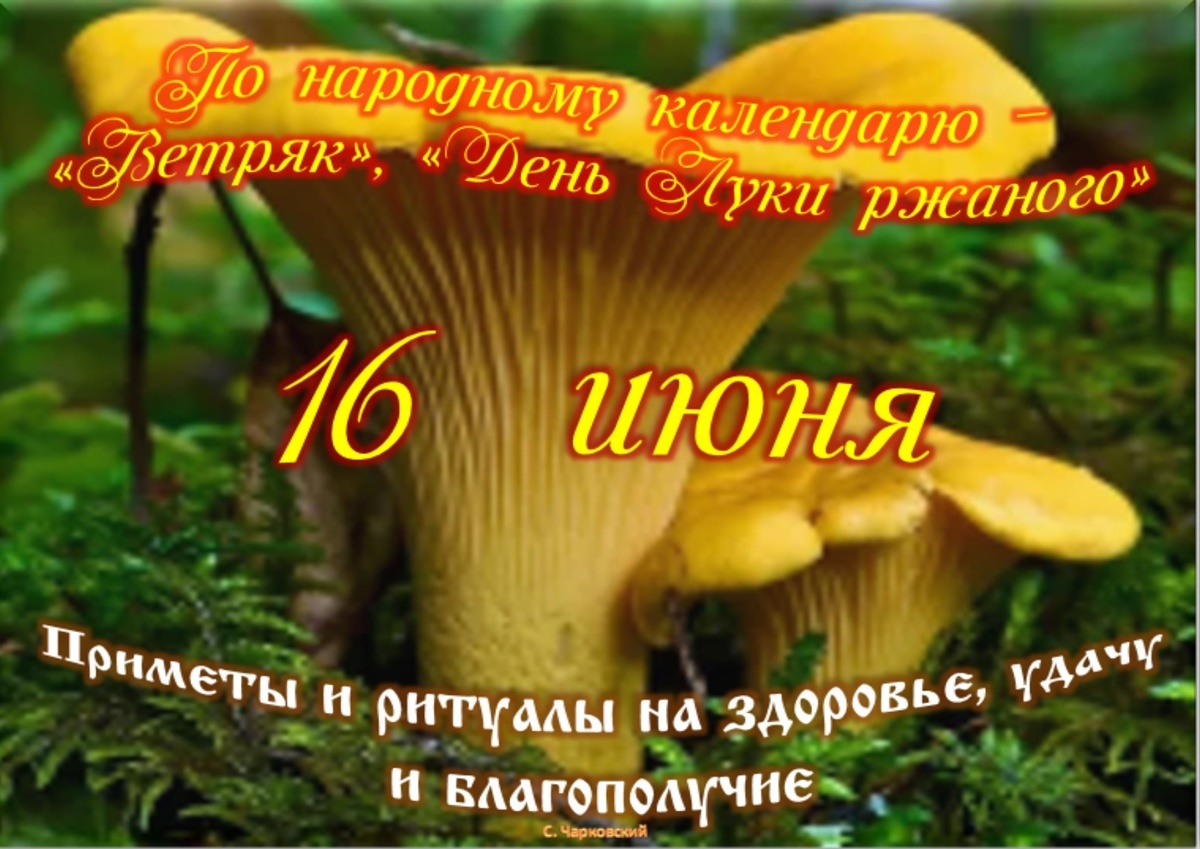 Встречаем новый день