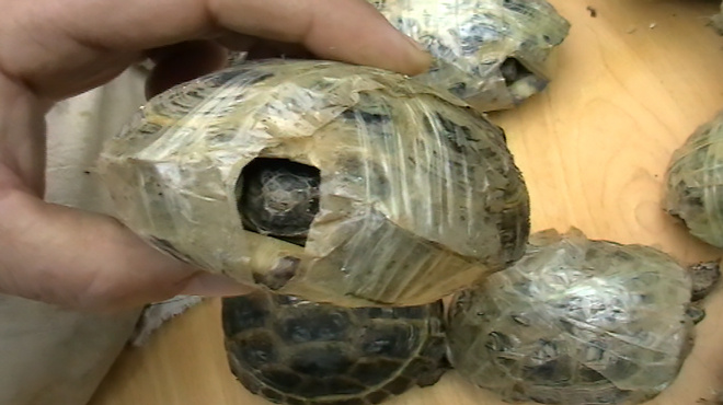 Фото взято из открытых источников