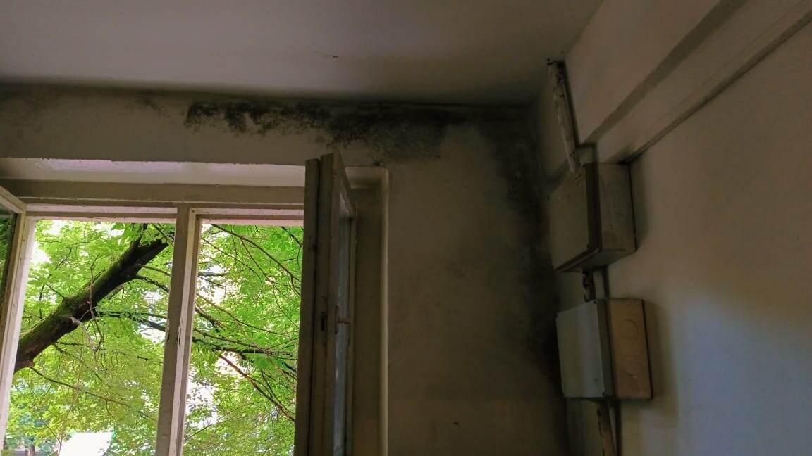 Северное Измайлово 1-7 фото