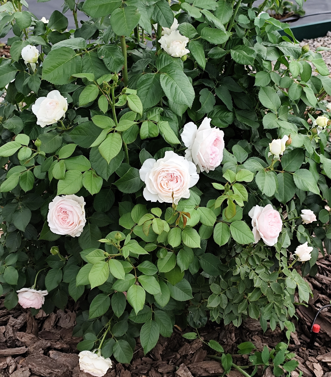 Фото автора канала