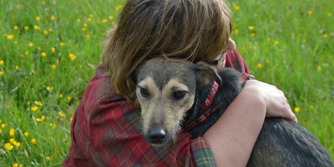 Вот почему собака любит вас сильнее, чем кто-либо — и никогда не предаст