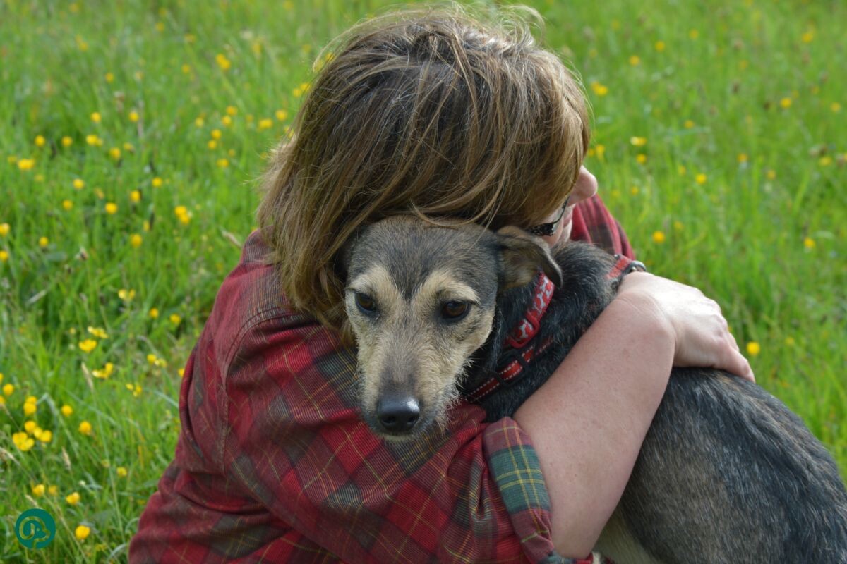 Хозяйка обнимает собаку 