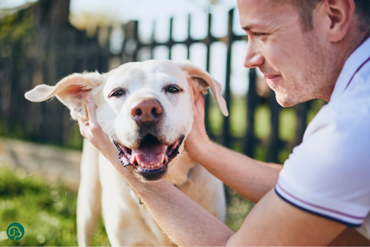 Счастливая собака с хозяином 