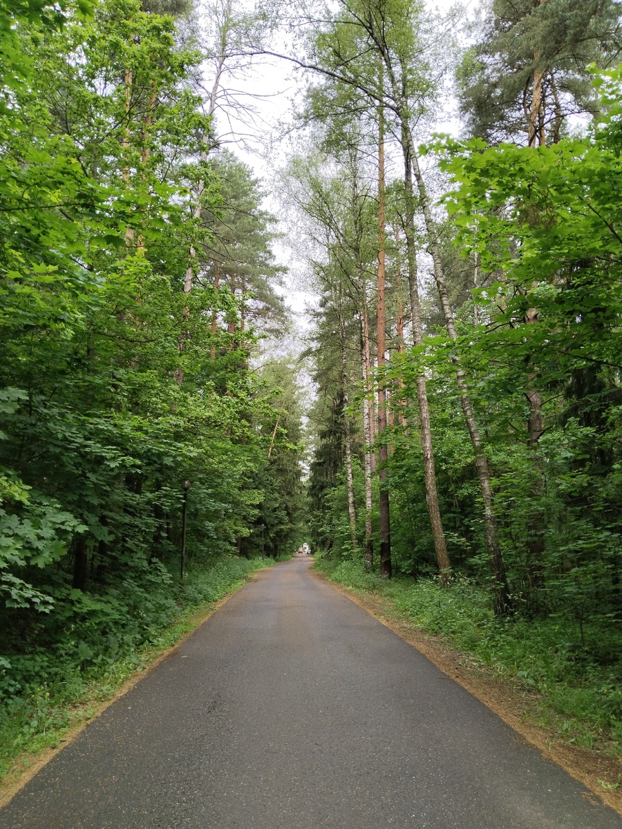 Фото с прошлого раза, в субботу дождь стеной шел