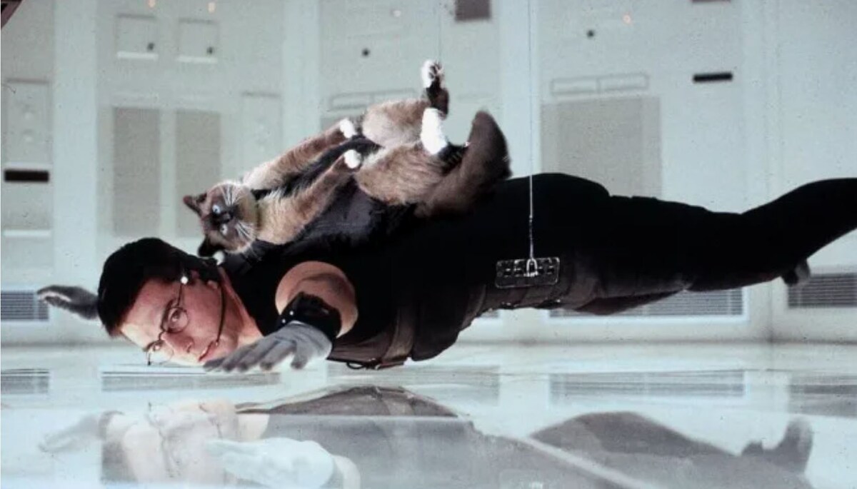 источник Яндекс-картинки