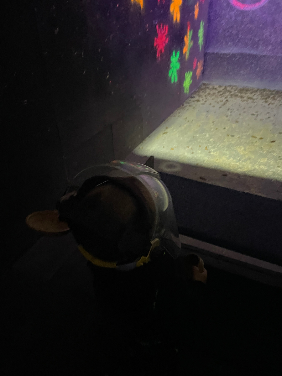 Атракцион «Бей посуду»