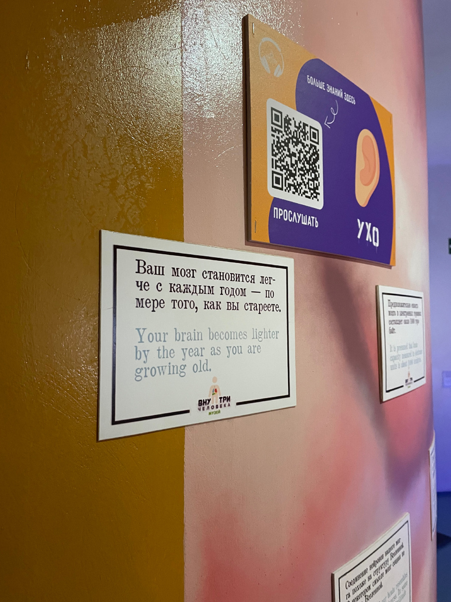 Атракцион в теле человека 