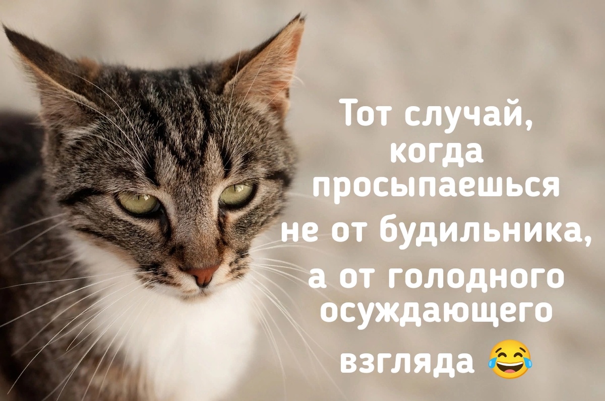 Личное фото