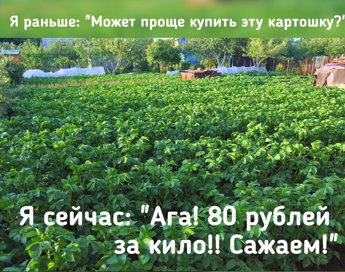 Личное фото