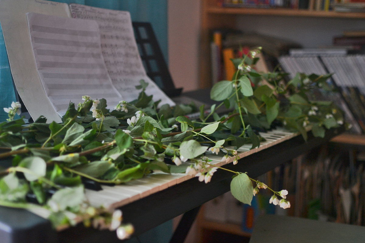 Побеги чубушника