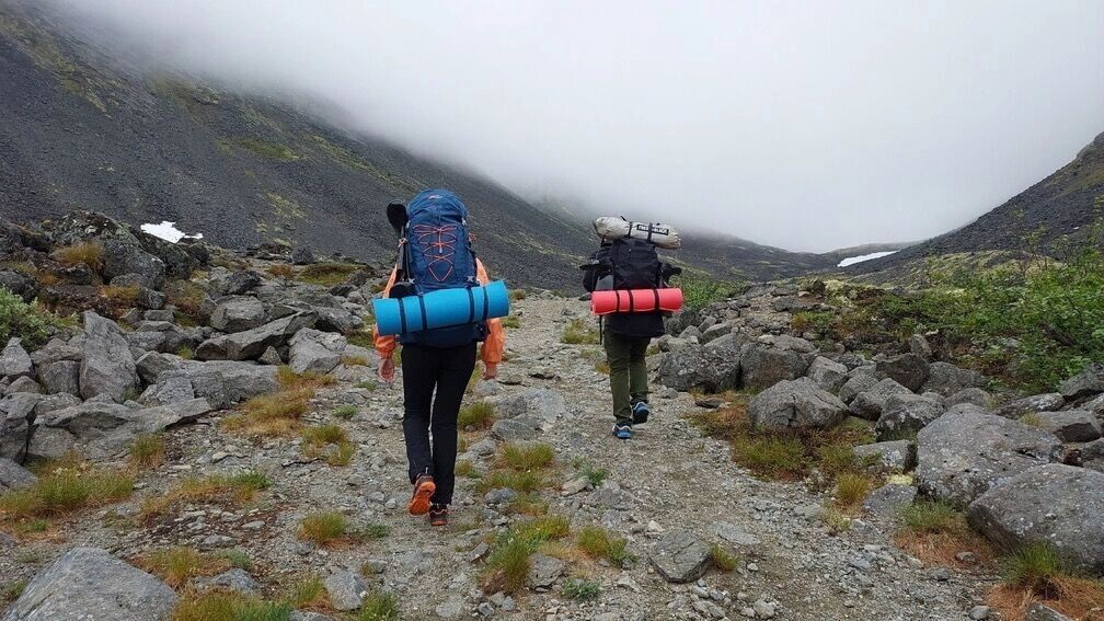     Источник: 1MI