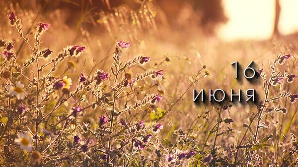    © Photo : javier gonzalez: Pexels