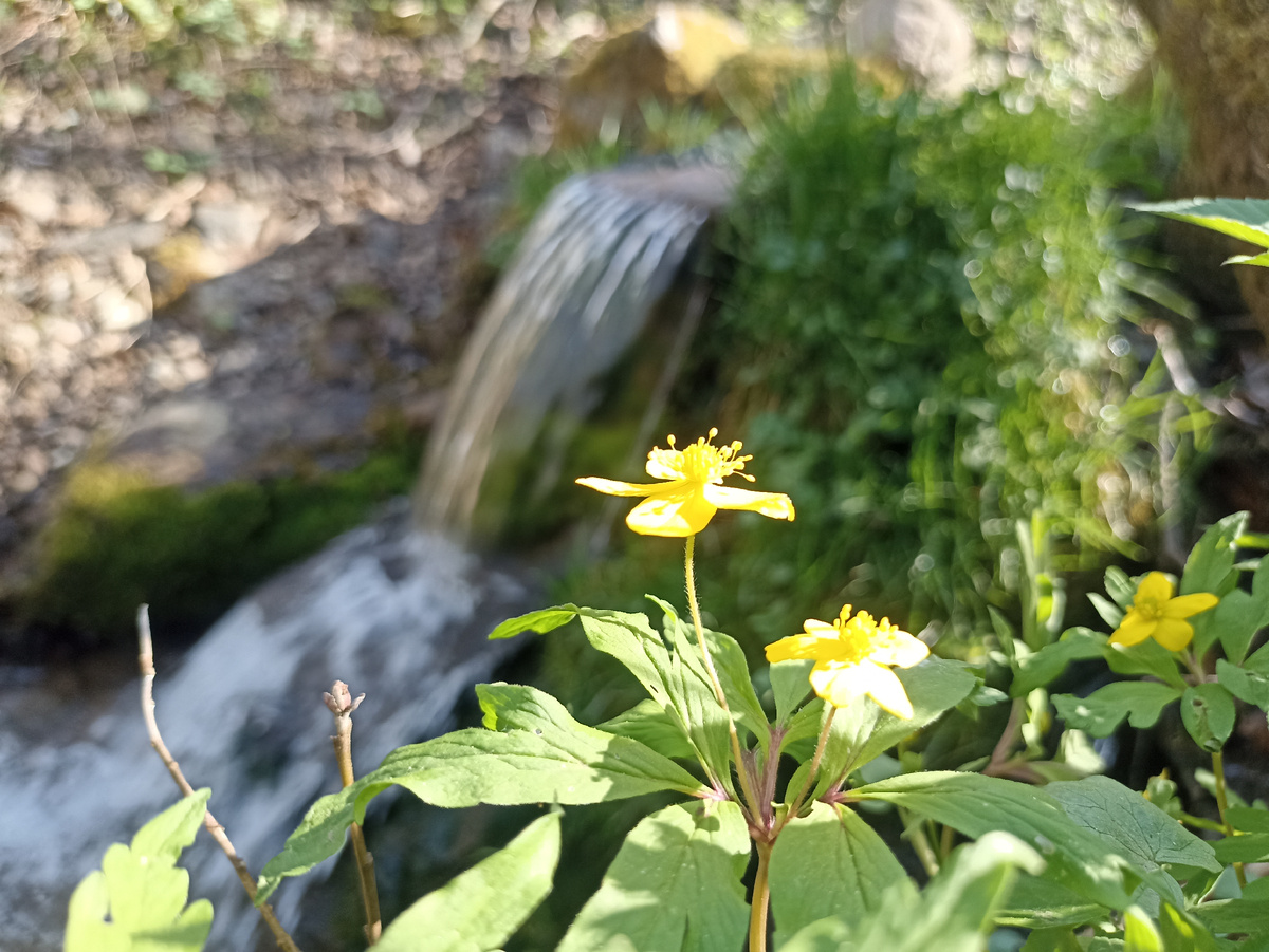 Родник-водопад