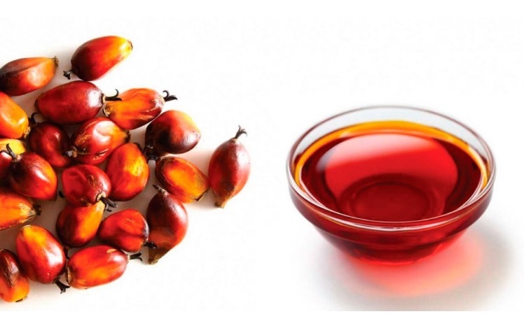 Слева плоды масличной пальмы, справа фильтрованное красное масло