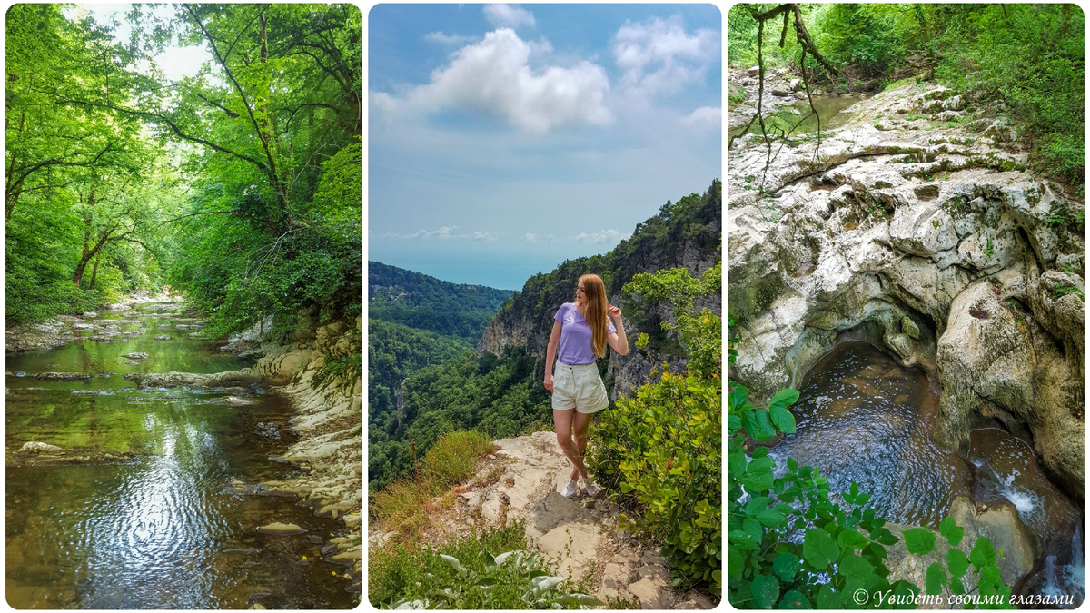 Природа горных парков Сочи в июне