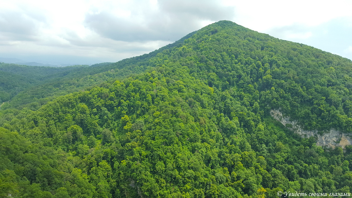 Гора Ахун, окруженная густым субтропическим лесом