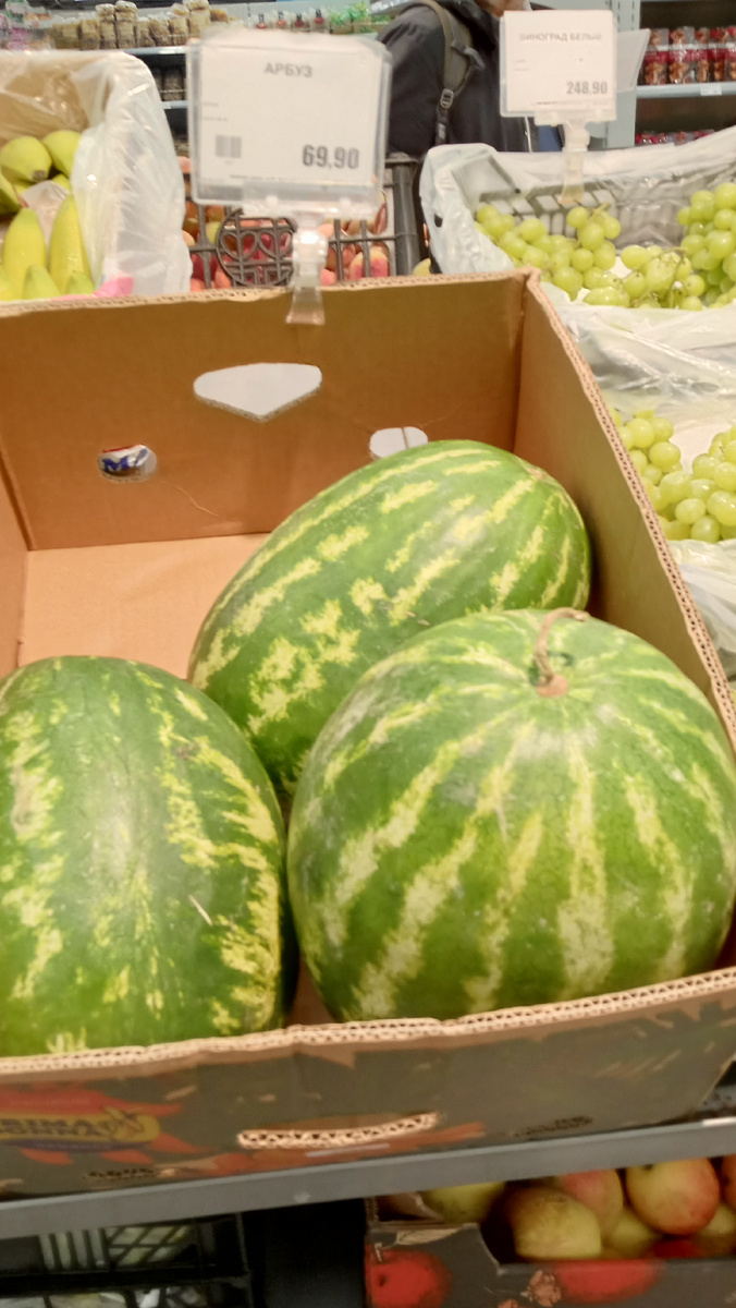 Фото автора.