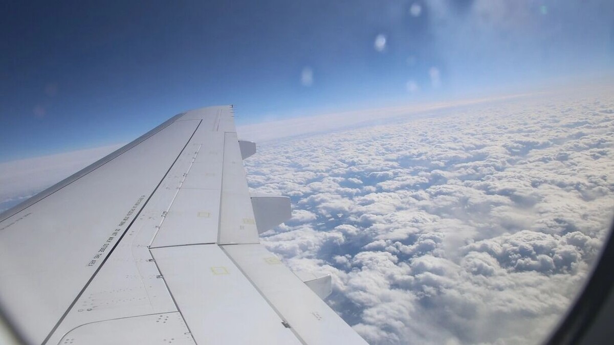     Источник: 1MI