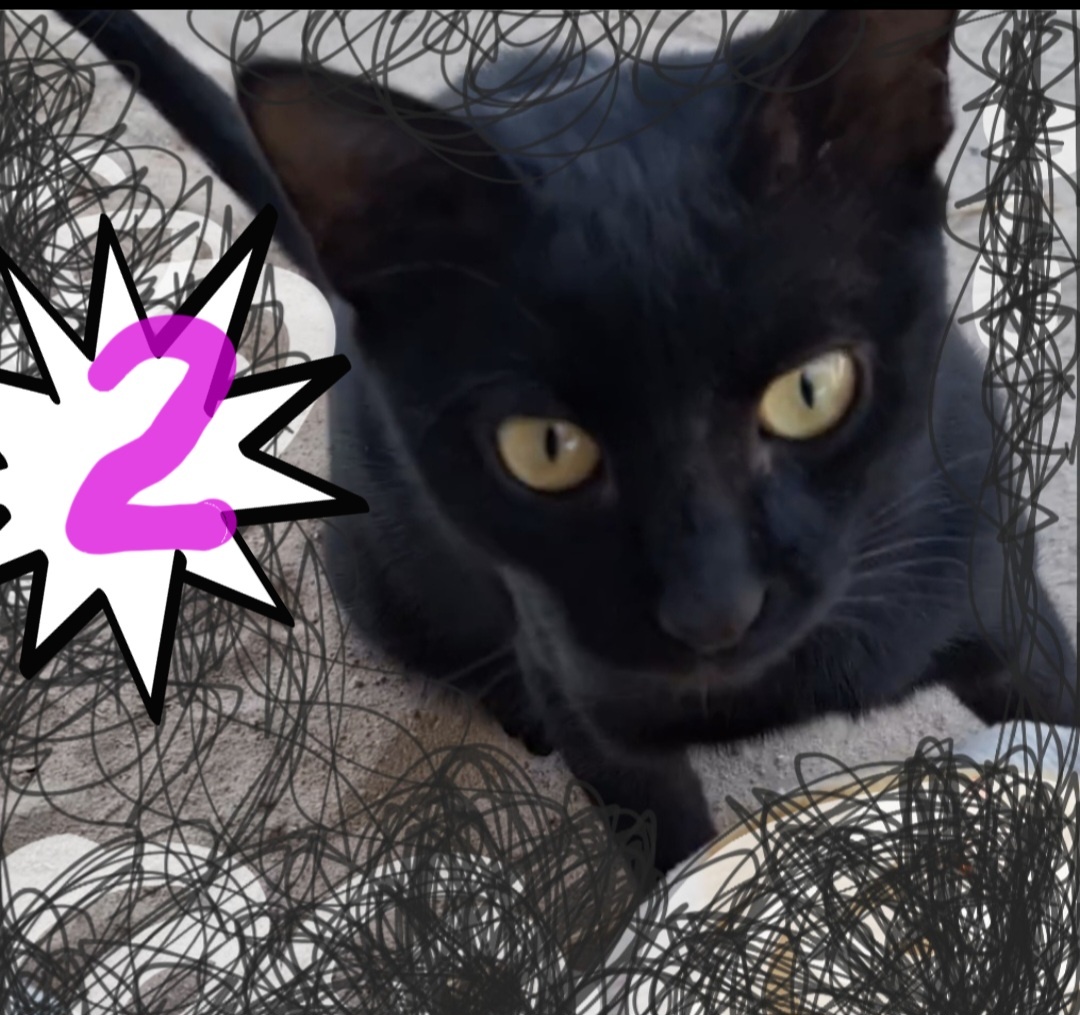 Фотоколлаж - собственность автора канала.