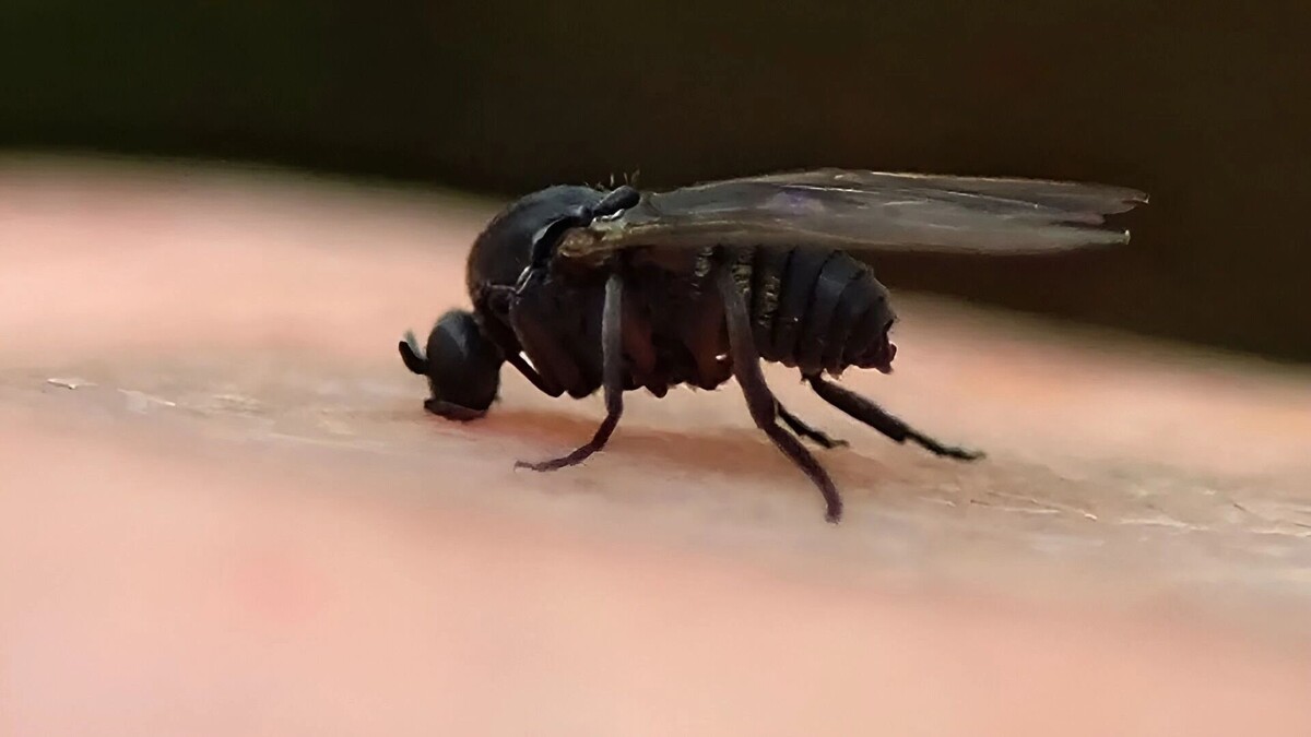     Источник: freepik.com