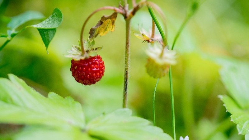 Фото: @sandipruel / freepik.com