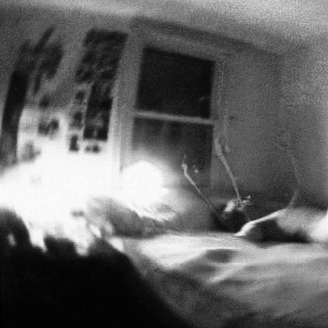 Обложка альбома XPBABE — «INSOMNIA», 2022