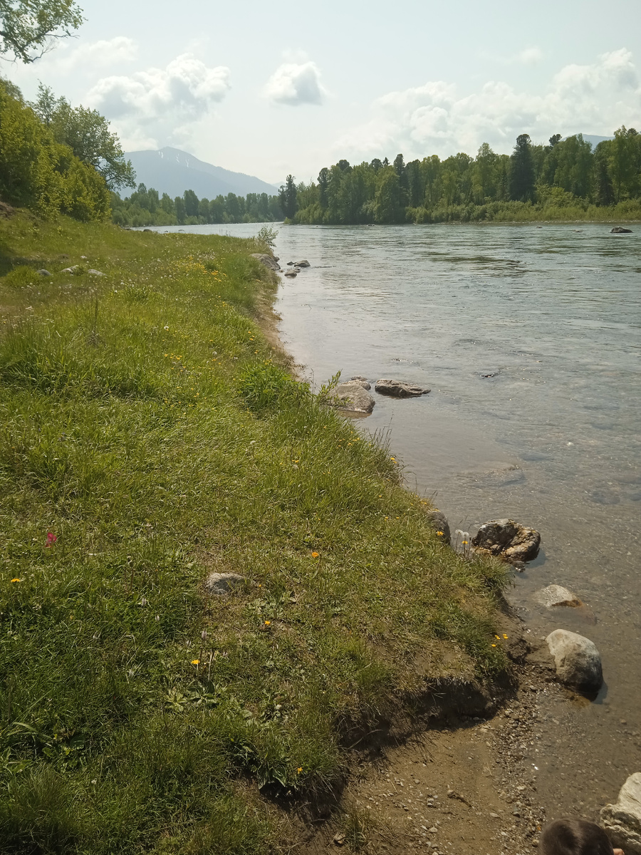 Горная река Снежная и горы Хамар-Дабан. На противоположном берегу реки моя родная Иркутская область. 